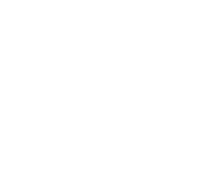 BURGER HUNCH